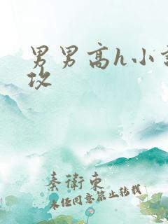 男男高h小说主攻