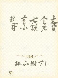 我有七个大佬哥哥小说免费阅读