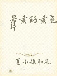 最黄的黄色一级片