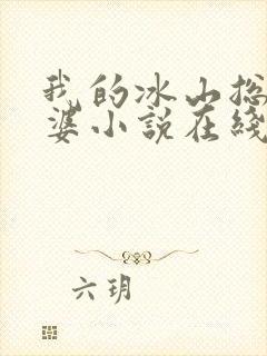 我的冰山总裁老婆小说在线