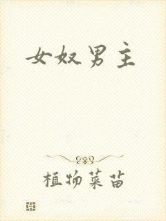 女奴男主