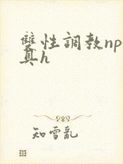 双性调教np道具h