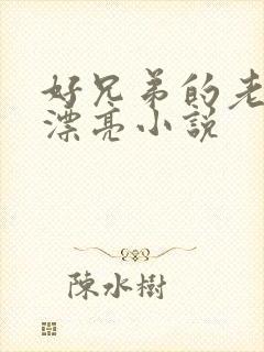 好兄弟的老婆太漂亮小说