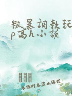 粗暴调教玩弄np高h小说