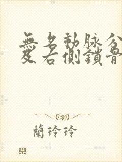 无名动脉分叉部及右侧锁骨下动脉斑块形成