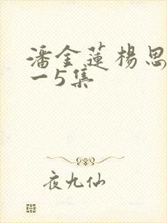 潘金莲杨思敏1一5集