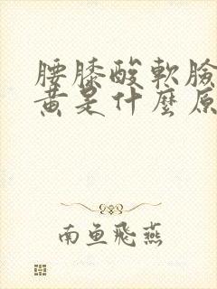 腰膝酸软脸色暗黄是什么原因