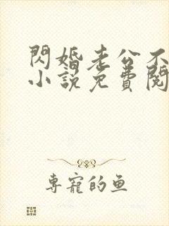 闪婚老公不见面小说免费阅读全文