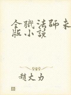 全职法师未删减版小说