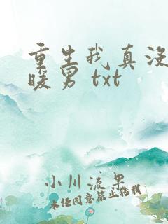 重生我真没想当暖男 txt