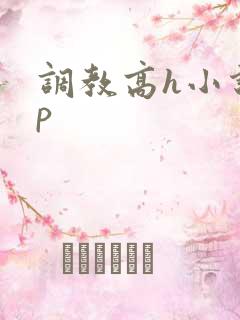 调教高h小说np