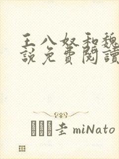 王八奴和魏敏小说免费阅读