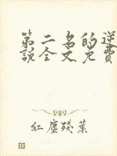 第二名的逆袭小说全文免费阅读