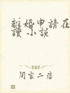 离婚申请在线阅读 小说