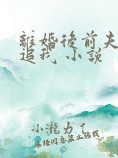 离婚后前夫总想追我 小说