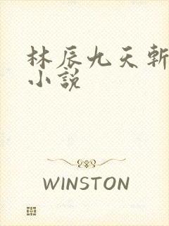 林辰九天斩神诀小说