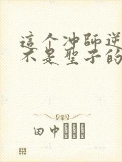 这个冲师逆徒才不是圣子的小说