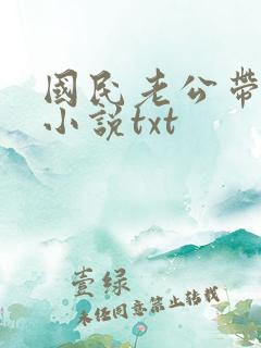 国民老公带回家小说txt