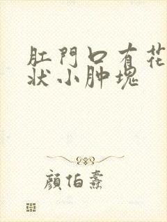 肛门口有花生米状小肿块