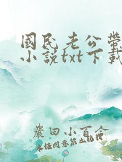 国民老公带回家小说txt下载