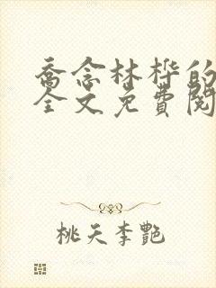 乔念林桦的小说全文免费阅读无弹窗