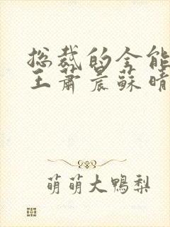 总裁的全能型兵王萧晨苏晴