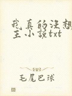 我真的没想抢男主小说txt