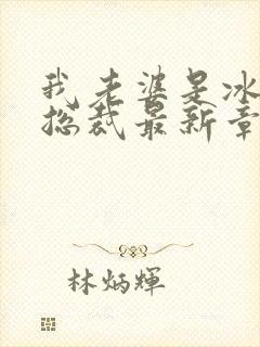 我老婆是冰山女总裁最新章节阅读