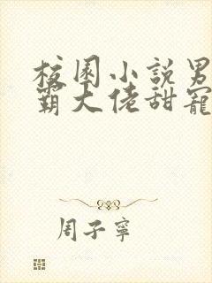 校园小说男主校霸大佬甜宠文