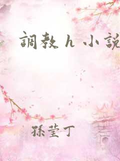 调教 h 小说