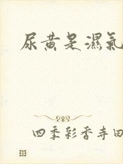 尿黄是湿气重吗