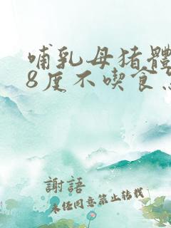 哺乳母猪体温38度不吃食怎么治