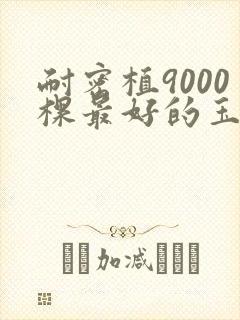 耐密植9000棵最好的玉米品种