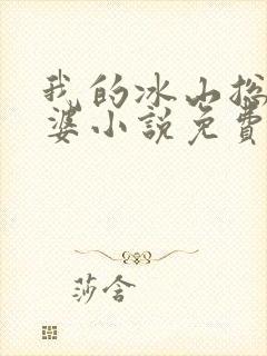 我的冰山总裁老婆小说免费阅读