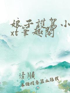 娘子护驾小说txt笔趣阁