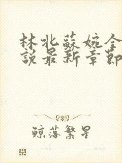 林北苏婉全本小说最新章节