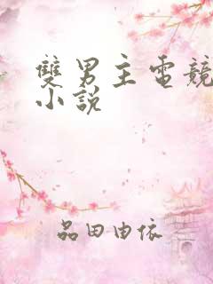 双男主电竞甜文小说