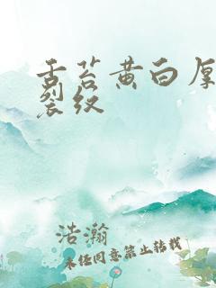 舌苔黄白厚腻有裂纹