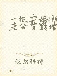 一纸宠婚:神秘老公有点坏