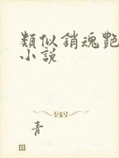 类似销魂艳婢的小说