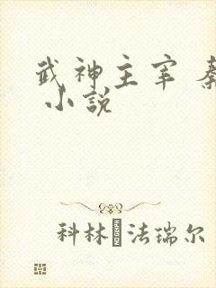 武神主宰 秦尘 小说