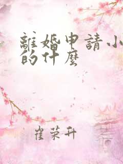 离婚申请小说讲的什么