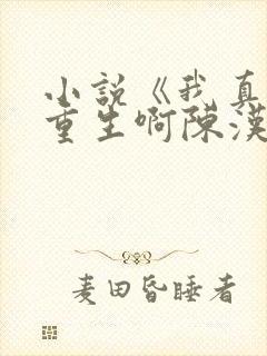 小说《我真没想重生啊陈汉升》