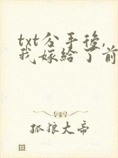 txt分手后,我嫁给了前男友的小叔