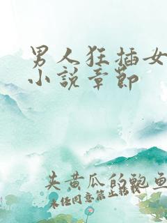 男人狂插女人的小说章节