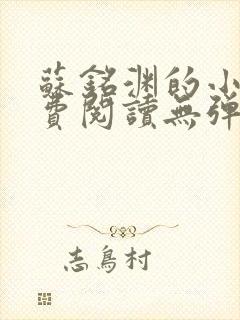 苏铭渊的小说免费阅读无弹窗全文