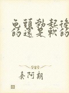 龟头勃起后是硬的还是软的