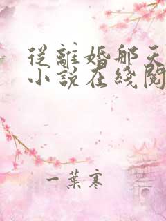 从离婚那天开始小说在线阅读