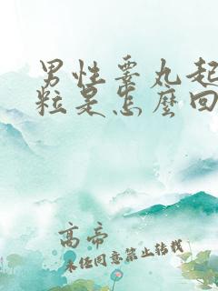 男性睾丸起硬肉粒是怎么回事