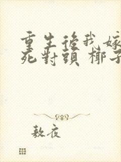 重生后我嫁给了死对头 椰子絮